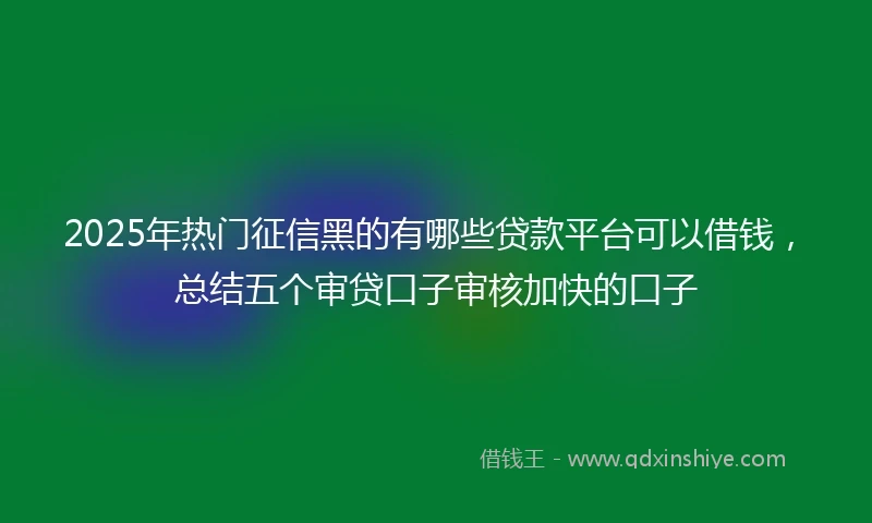 2025年热门征信黑的有哪些贷款平台可以借钱，总结五个审贷口子审核加快的口子
