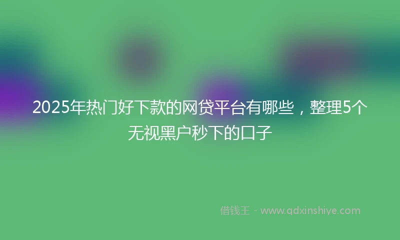 2025年热门好下款的网贷平台有哪些，整理5个无视黑户秒下的口子