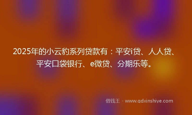 2025年的小云豹系列贷款有：平安i贷、人人贷、平安口袋银行、e微贷、分期乐等。