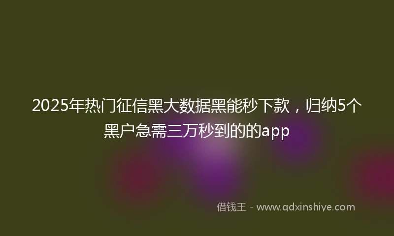 2025年热门征信黑大数据黑能秒下款，归纳5个黑户急需三万秒到的的app