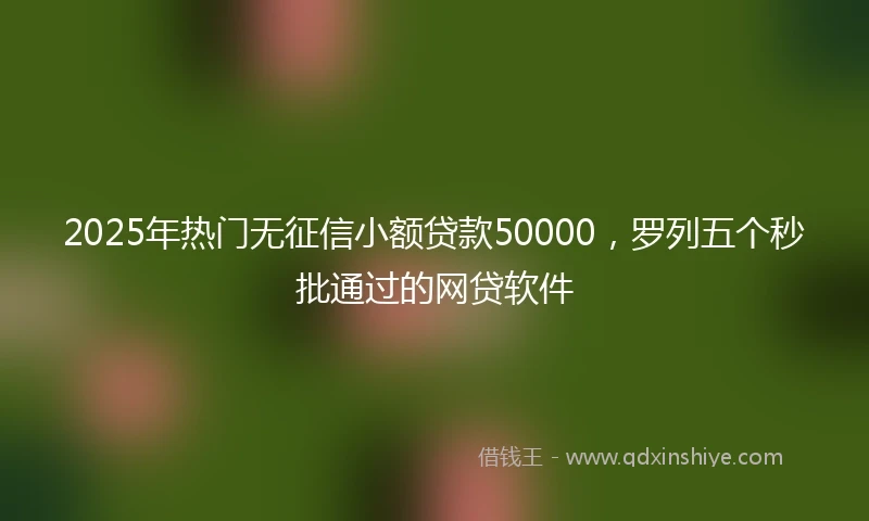 2025年热门无征信小额贷款50000，罗列五个秒批通过的网贷软件