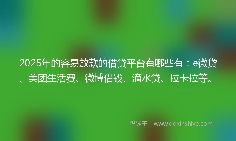 2025年的容易放款的借贷平台有哪些有：e微贷、美团生活费、微博借钱、滴水贷、拉卡拉等。