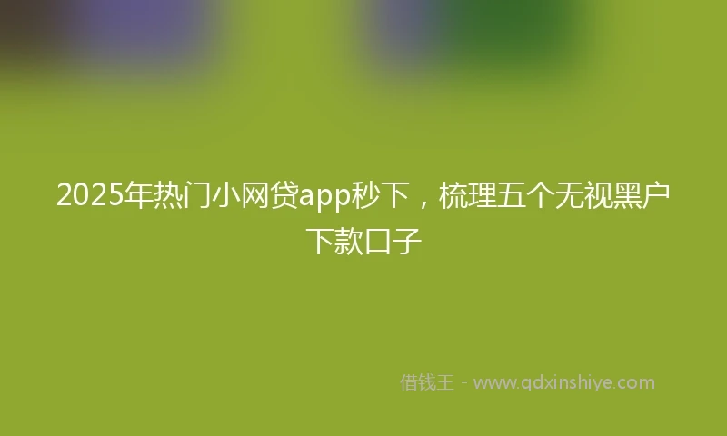 2025年热门小网贷app秒下，梳理五个无视黑户下款口子