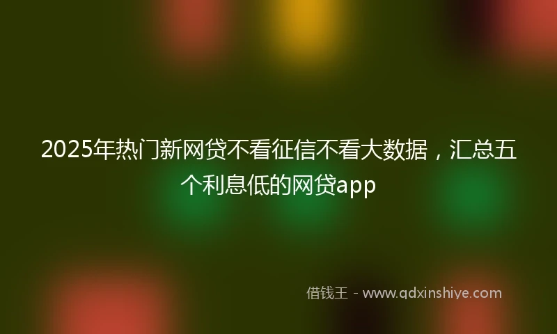 2025年热门新网贷不看征信不看大数据，汇总五个利息低的网贷app