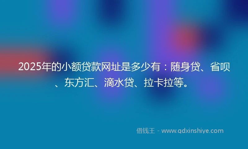 2025年的小额贷款网址是多少有：随身贷、省呗、东方汇、滴水贷、拉卡拉等。