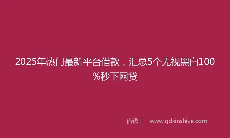 2025年热门最新平台借款，汇总5个无视黑白100%秒下网贷