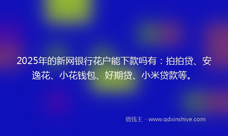2025年的新网银行花户能下款吗有：拍拍贷、安逸花、小花钱包、好期贷、小米贷款等。