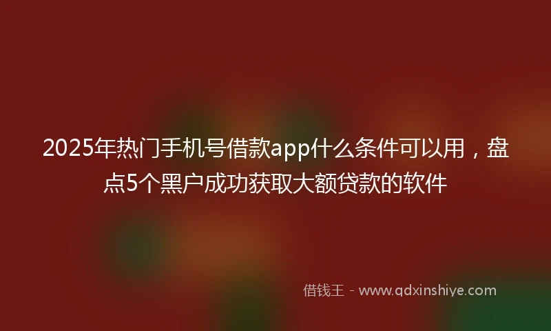 2025年热门手机号借款app什么条件可以用，盘点5个黑户成功获取大额贷款的软件