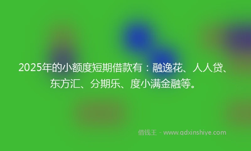 2025年的小额度短期借款有：融逸花、人人贷、东方汇、分期乐、度小满金融等。