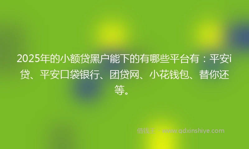 2025年的小额贷黑户能下的有哪些平台有：平安i贷、平安口袋银行、团贷网、小花钱包、替你还等。