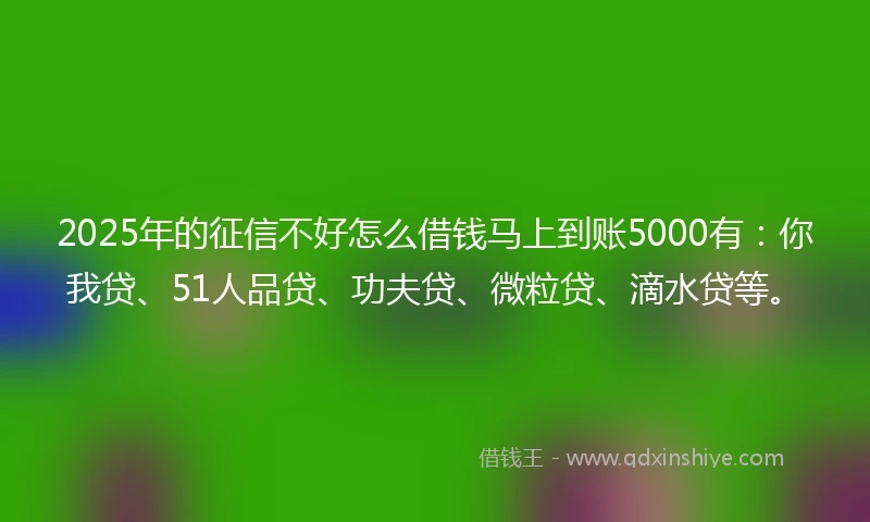 2025年的征信不好怎么借钱马上到账5000有：你我贷、51人品贷、功夫贷、微粒贷、滴水贷等。