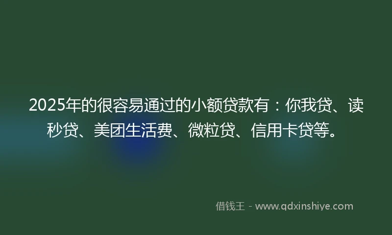 2025年的很容易通过的小额贷款有：你我贷、读秒贷、美团生活费、微粒贷、信用卡贷等。