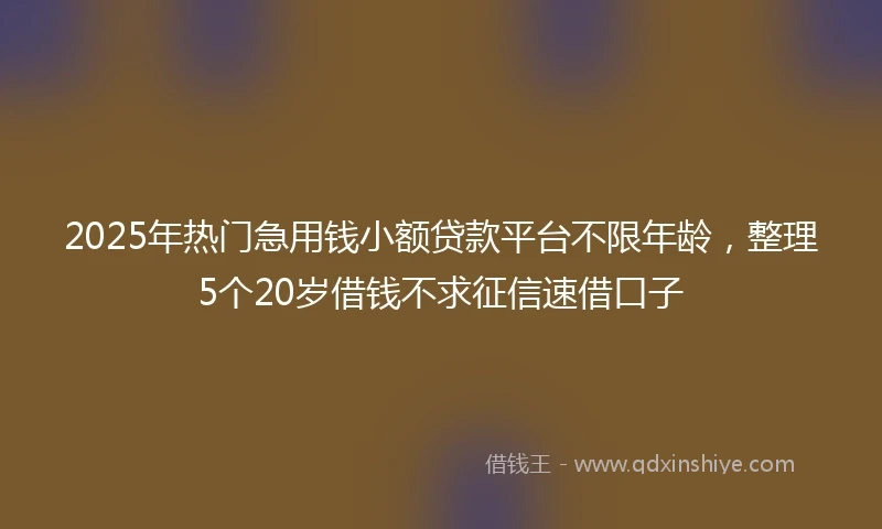 2025年热门急用钱小额贷款平台不限年龄，整理5个20岁借钱不求征信速借口子