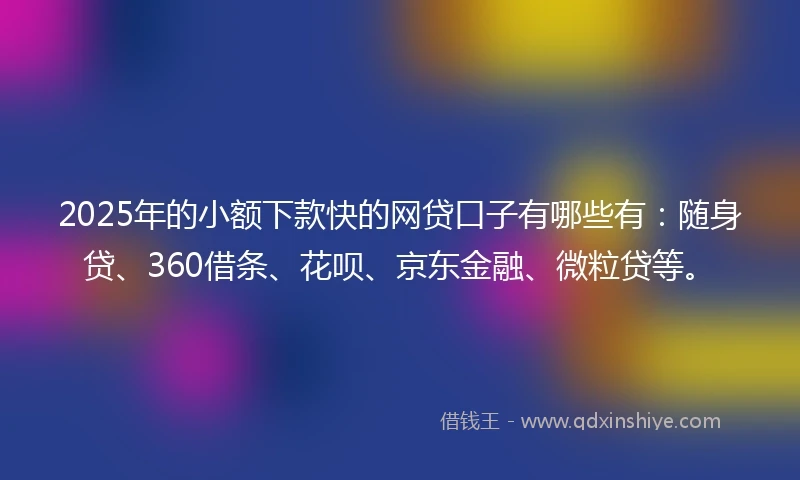 2025年的小额下款快的网贷口子有哪些有：随身贷、360借条、花呗、京东金融、微粒贷等。