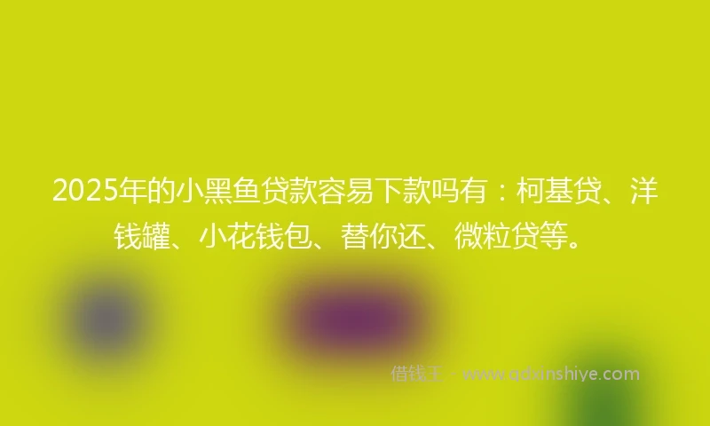 2025年的小黑鱼贷款容易下款吗有：柯基贷、洋钱罐、小花钱包、替你还、微粒贷等。