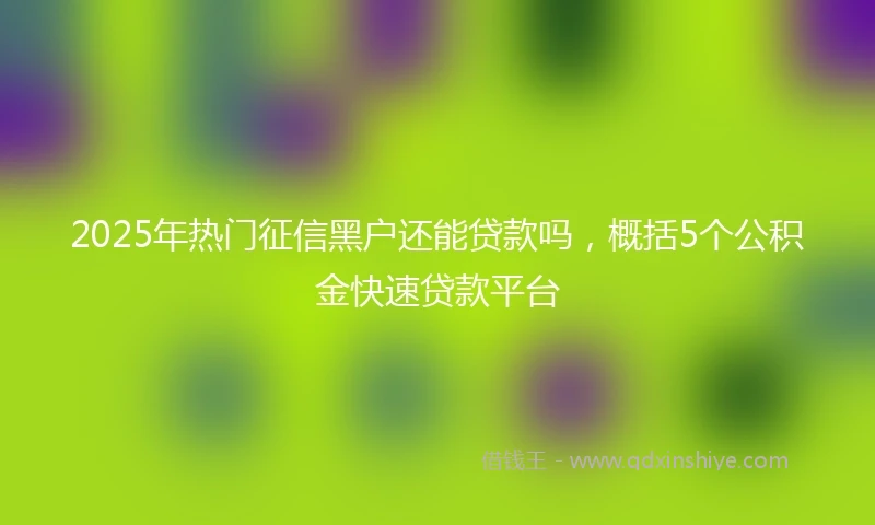 2025年热门征信黑户还能贷款吗，概括5个公积金快速贷款平台