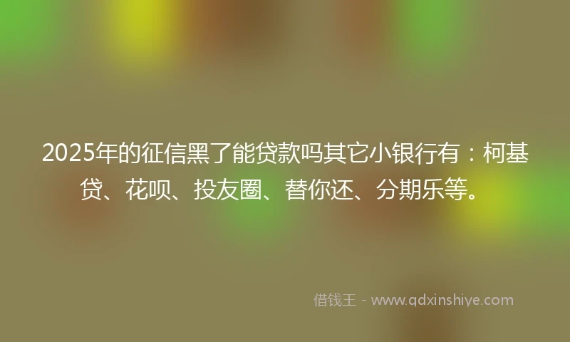 2025年的征信黑了能贷款吗其它小银行有：柯基贷、花呗、投友圈、替你还、分期乐等。