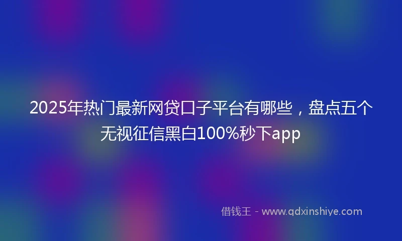 2025年热门最新网贷口子平台有哪些，盘点五个无视征信黑白100%秒下app