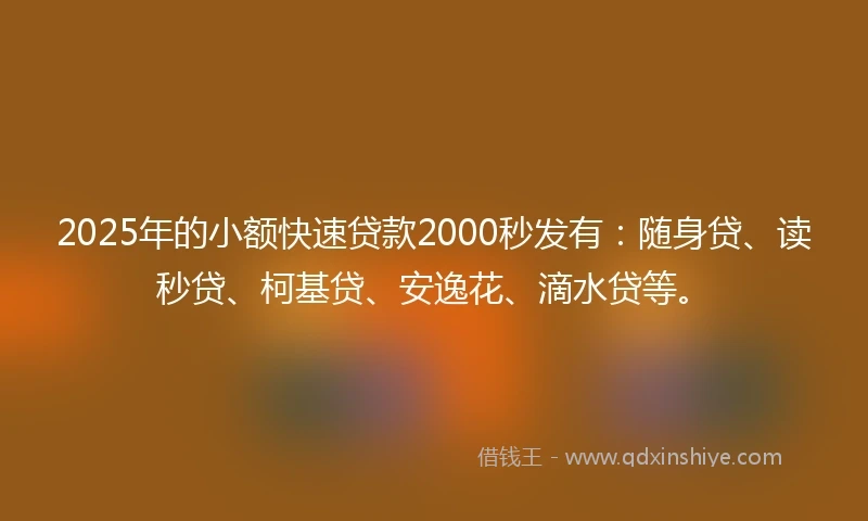 2025年的小额快速贷款2000秒发有：随身贷、读秒贷、柯基贷、安逸花、滴水贷等。
