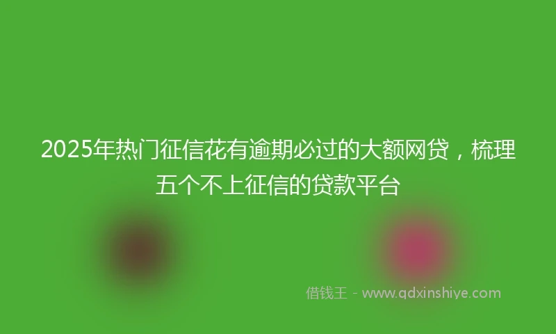 2025年热门征信花有逾期必过的大额网贷，梳理五个不上征信的贷款平台