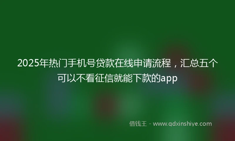 2025年热门手机号贷款在线申请流程，汇总五个可以不看征信就能下款的app