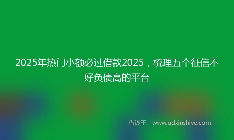 2025年热门小额必过借款2025，梳理五个征信不好负债高的平台