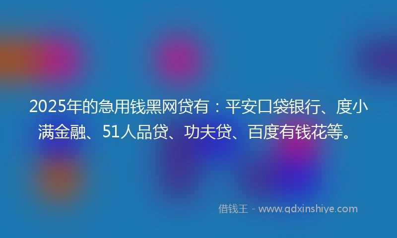 2025年的急用钱黑网贷有：平安口袋银行、度小满金融、51人品贷、功夫贷、百度有钱花等。
