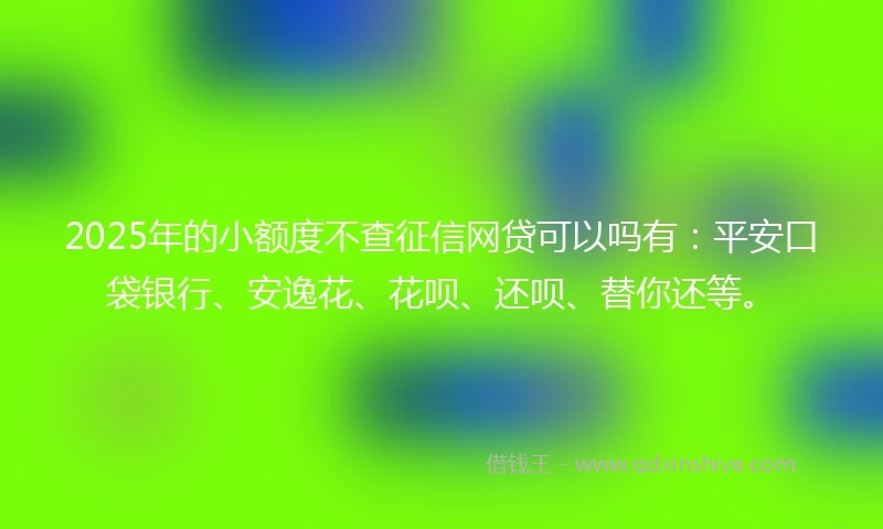 2025年的小额度不查征信网贷可以吗有：平安口袋银行、安逸花、花呗、还呗、替你还等。