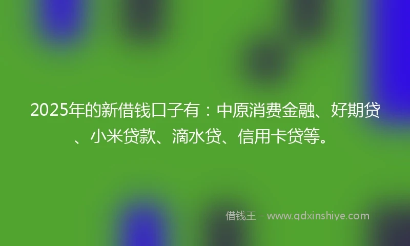 2025年的新借钱口子有：中原消费金融、好期贷、小米贷款、滴水贷、信用卡贷等。