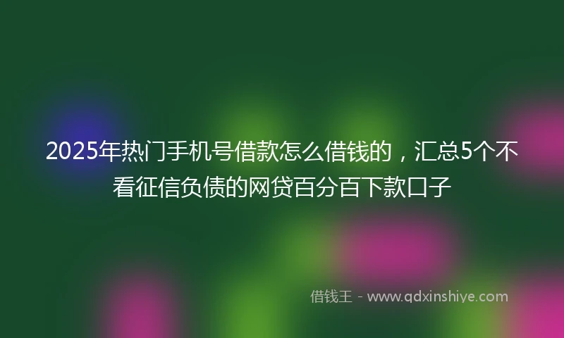 2025年热门手机号借款怎么借钱的，汇总5个不看征信负债的网贷百分百下款口子