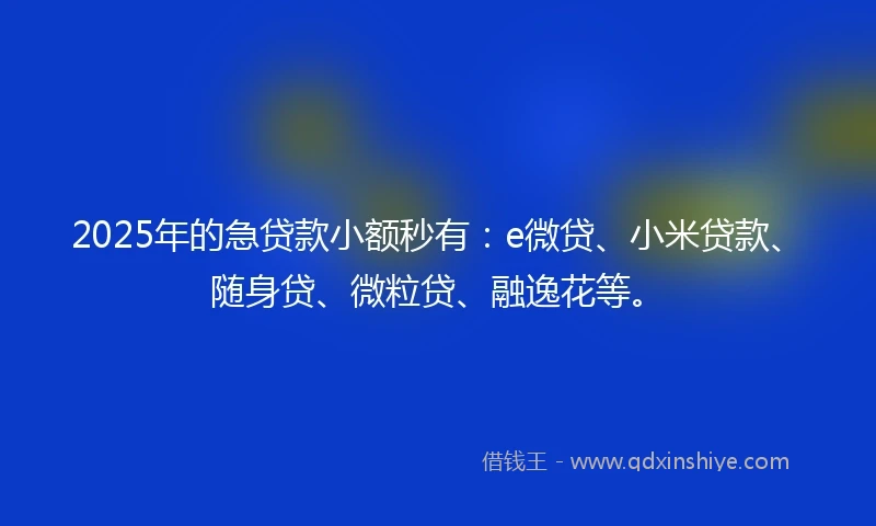 2025年的急贷款小额秒有：e微贷、小米贷款、随身贷、微粒贷、融逸花等。