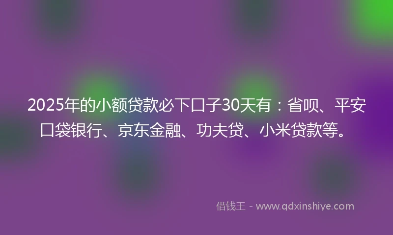 2025年的小额贷款必下口子30天有：省呗、平安口袋银行、京东金融、功夫贷、小米贷款等。