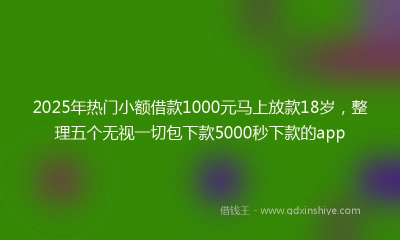 2025年热门小额借款1000元马上放款18岁，整理五个无视一切包下款5000秒下款的app