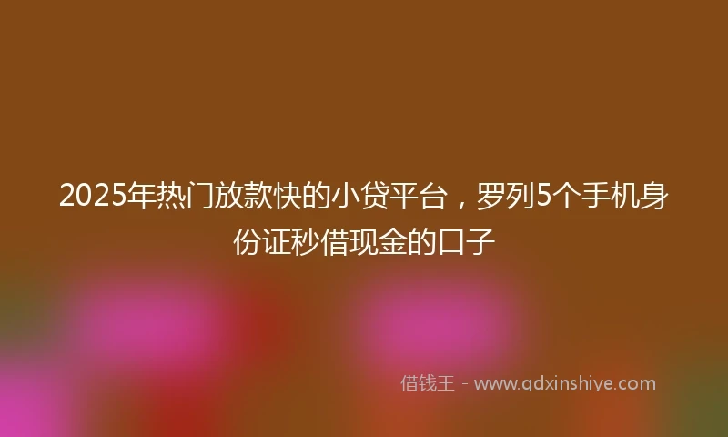 2025年热门放款快的小贷平台，罗列5个手机身份证秒借现金的口子