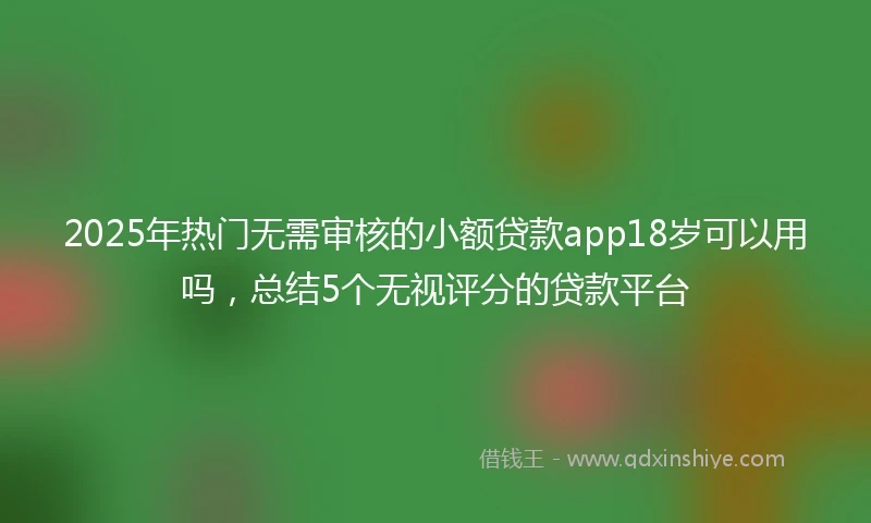 2025年热门无需审核的小额贷款app18岁可以用吗，总结5个无视评分的贷款平台