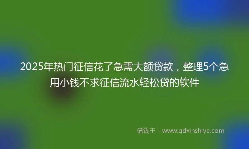2025年热门征信花了急需大额贷款，整理5个急用小钱不求征信流水轻松贷的软件
