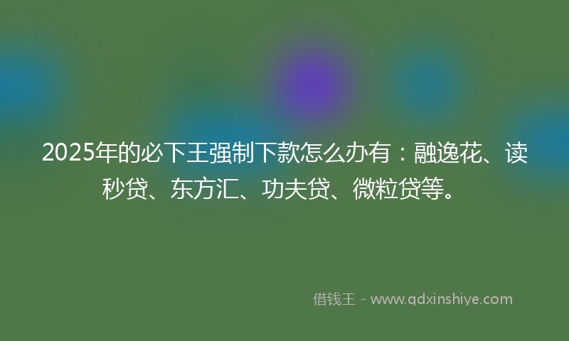 2025年的必下王强制下款怎么办有：融逸花、读秒贷、东方汇、功夫贷、微粒贷等。