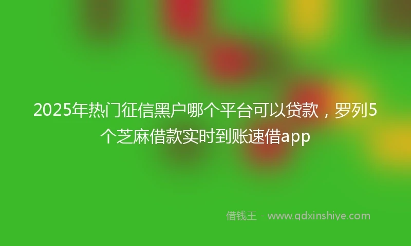 2025年热门征信黑户哪个平台可以贷款,罗列5个芝麻借款实时到账速借app