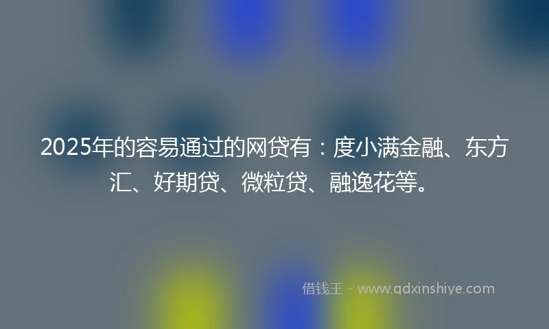 2025年的容易通过的网贷有：度小满金融、东方汇、好期贷、微粒贷、融逸花等。