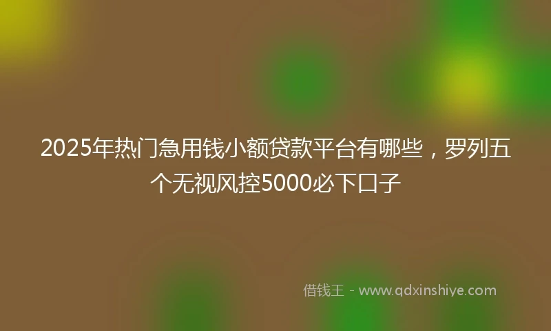 2025年热门急用钱小额贷款平台有哪些，罗列五个无视风控5000必下口子