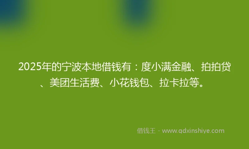 2025年的宁波本地借钱有：度小满金融、拍拍贷、美团生活费、小花钱包、拉卡拉等。