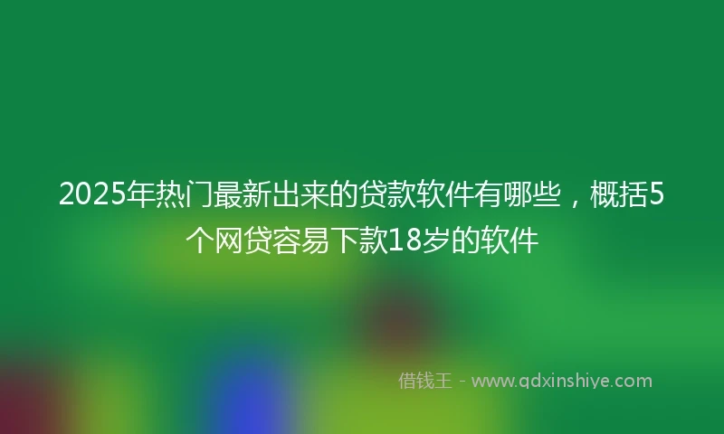 2025年热门最新出来的贷款软件有哪些，概括5个网贷容易下款18岁的软件