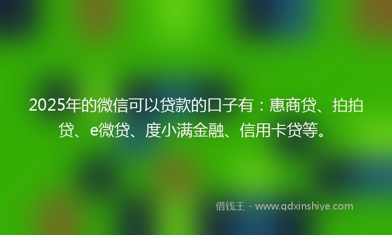 2025年的微信可以贷款的口子有：惠商贷、拍拍贷、e微贷、度小满金融、信用卡贷等。