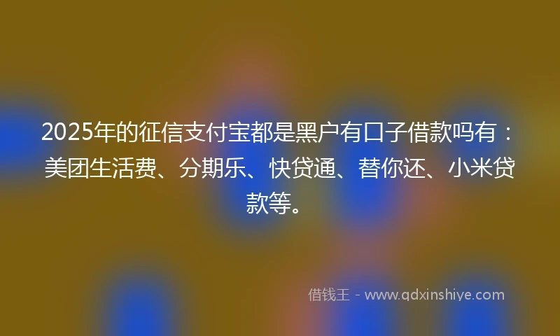 2025年的征信支付宝都是黑户有口子借款吗有：美团生活费、分期乐、快贷通、替你还、小米贷款等。