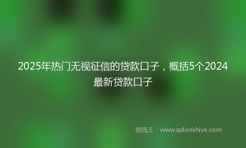 2025年热门无视征信的贷款口子，概括5个2024最新贷款口子