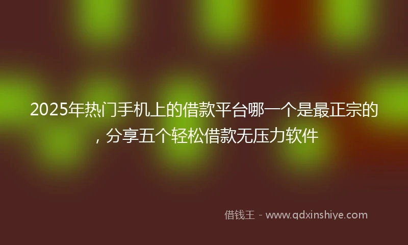 2025年热门手机上的借款平台哪一个是最正宗的，分享五个轻松借款无压力软件