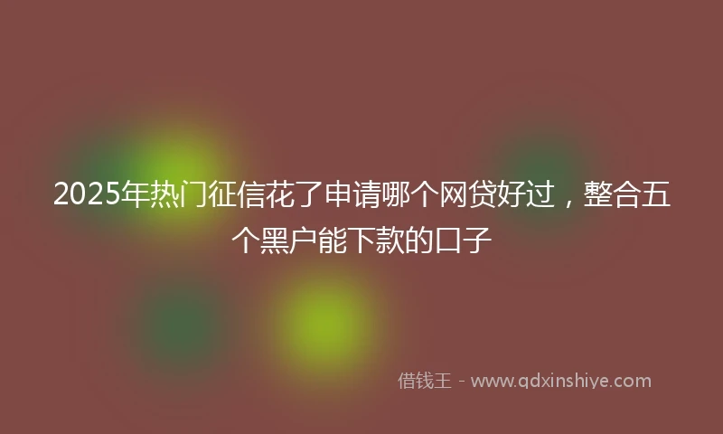 2025年热门征信花了申请哪个网贷好过,整合五个黑户能下款的口子