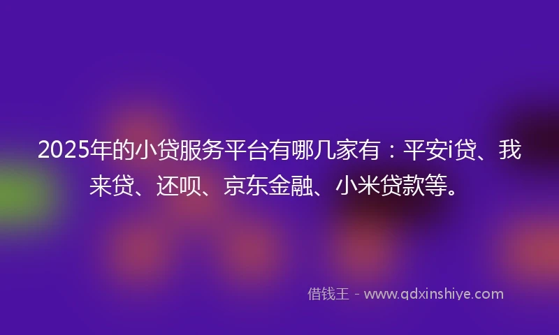2025年的小贷服务平台有哪几家有：平安i贷、我来贷、还呗、京东金融、小米贷款等。