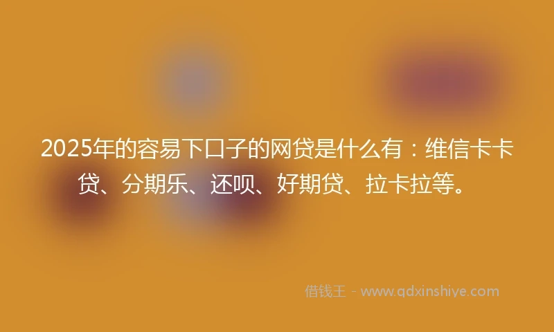 2025年的容易下口子的网贷是什么有：维信卡卡贷、分期乐、还呗、好期贷、拉卡拉等。