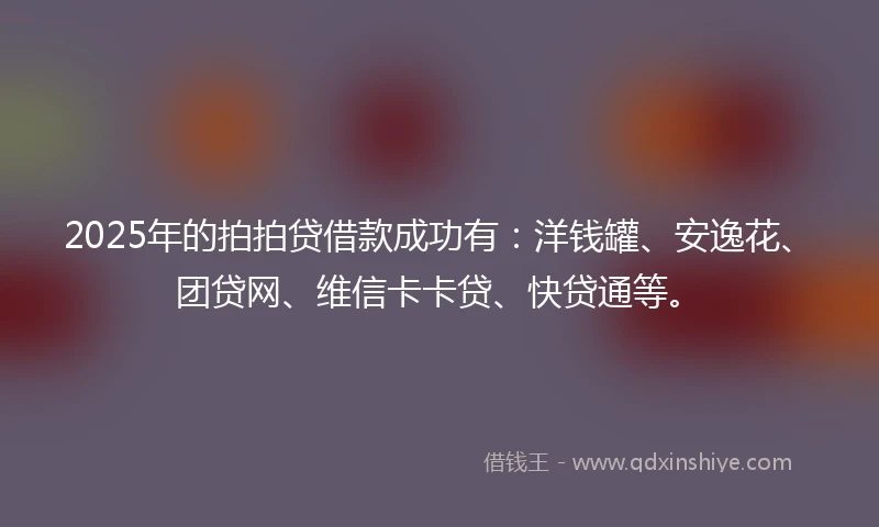 2025年的拍拍贷借款成功有：洋钱罐、安逸花、团贷网、维信卡卡贷、快贷通等。
